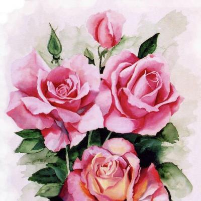 Tranh vẽ hoa hồng 40x50